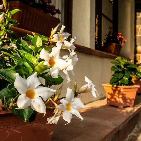 Gasthof Montserrat 3*