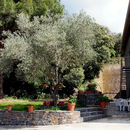 Casa de hóspedes Montserrat Montseny